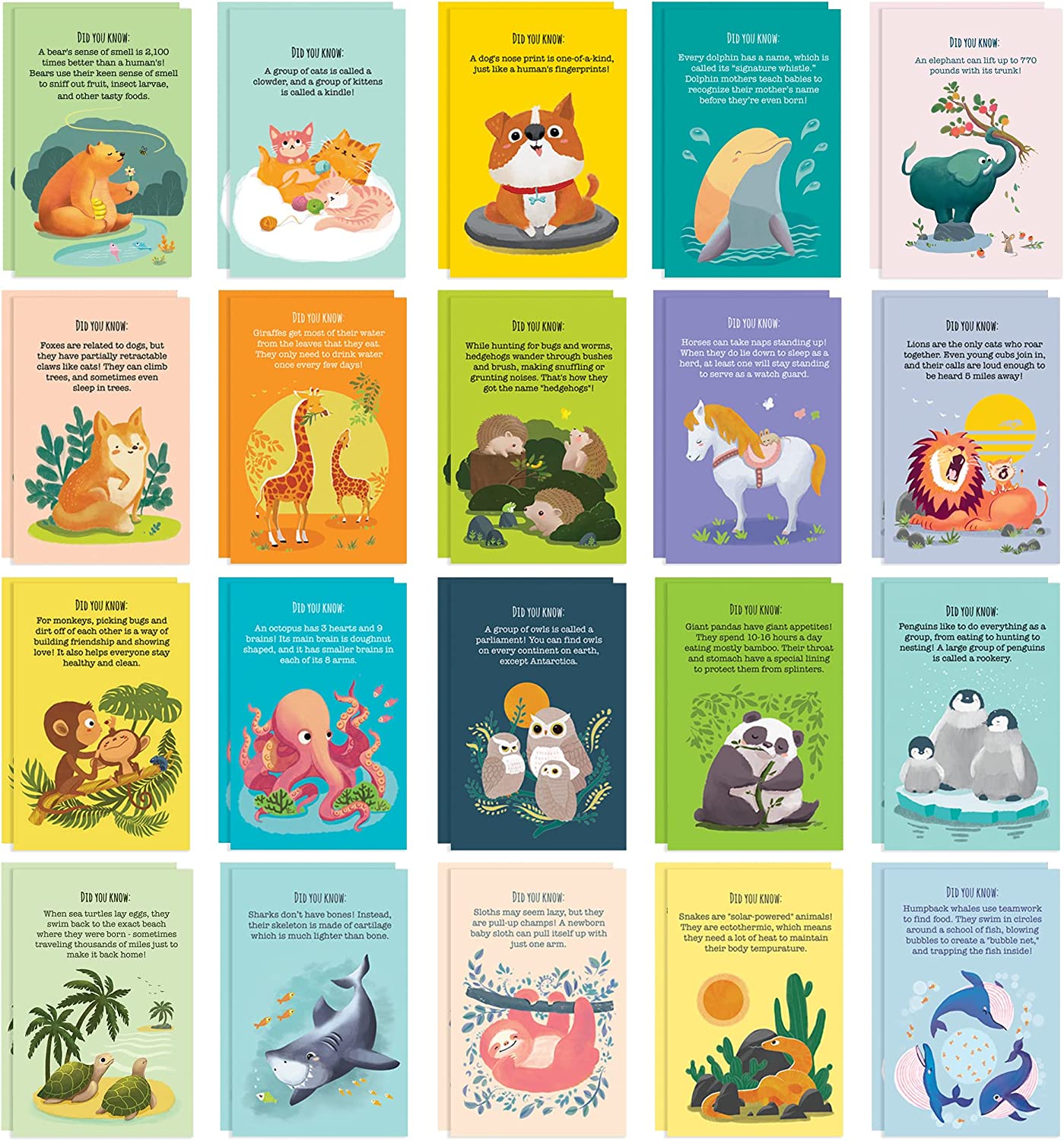 T MARIE 40 Animal Fun Fact Postcards - Bulk Thinking of You Postcard Pack for Kids, Students, Friends, Teacher, and More - Say Hello, Thank You or I Miss You with Colorful Note Cards